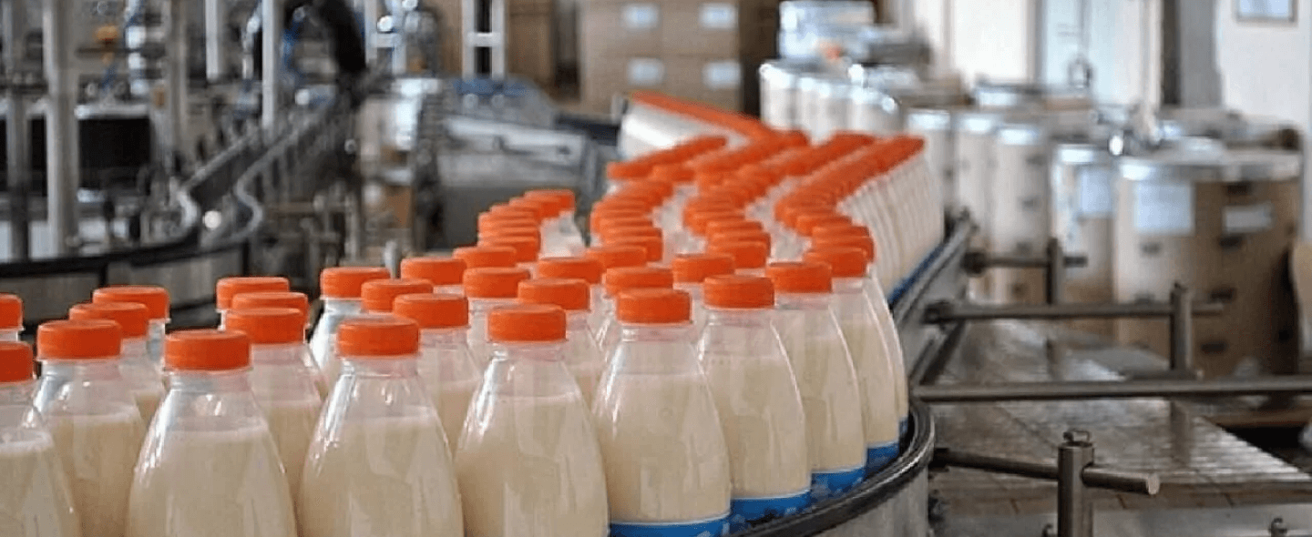 Легкая промышленность